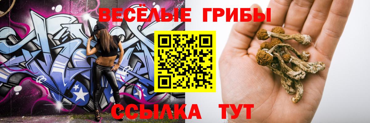 Верхняя Пышма  Галлюциногенные грибы Magic Shrooms  Вход с VPN 