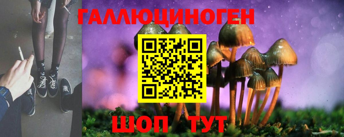 Галлюциногенные грибы Psilocybe Верхняя Пышма