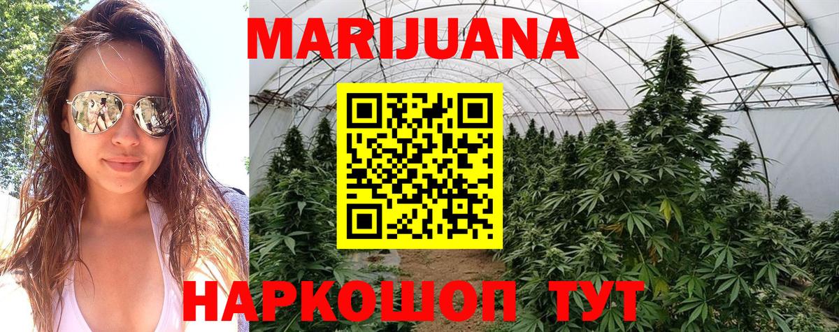 Верхняя Пышма  Шишки марихуана OG Kush  Вход с VPN  Бошки Шишки планчик  Марихуана планчик 